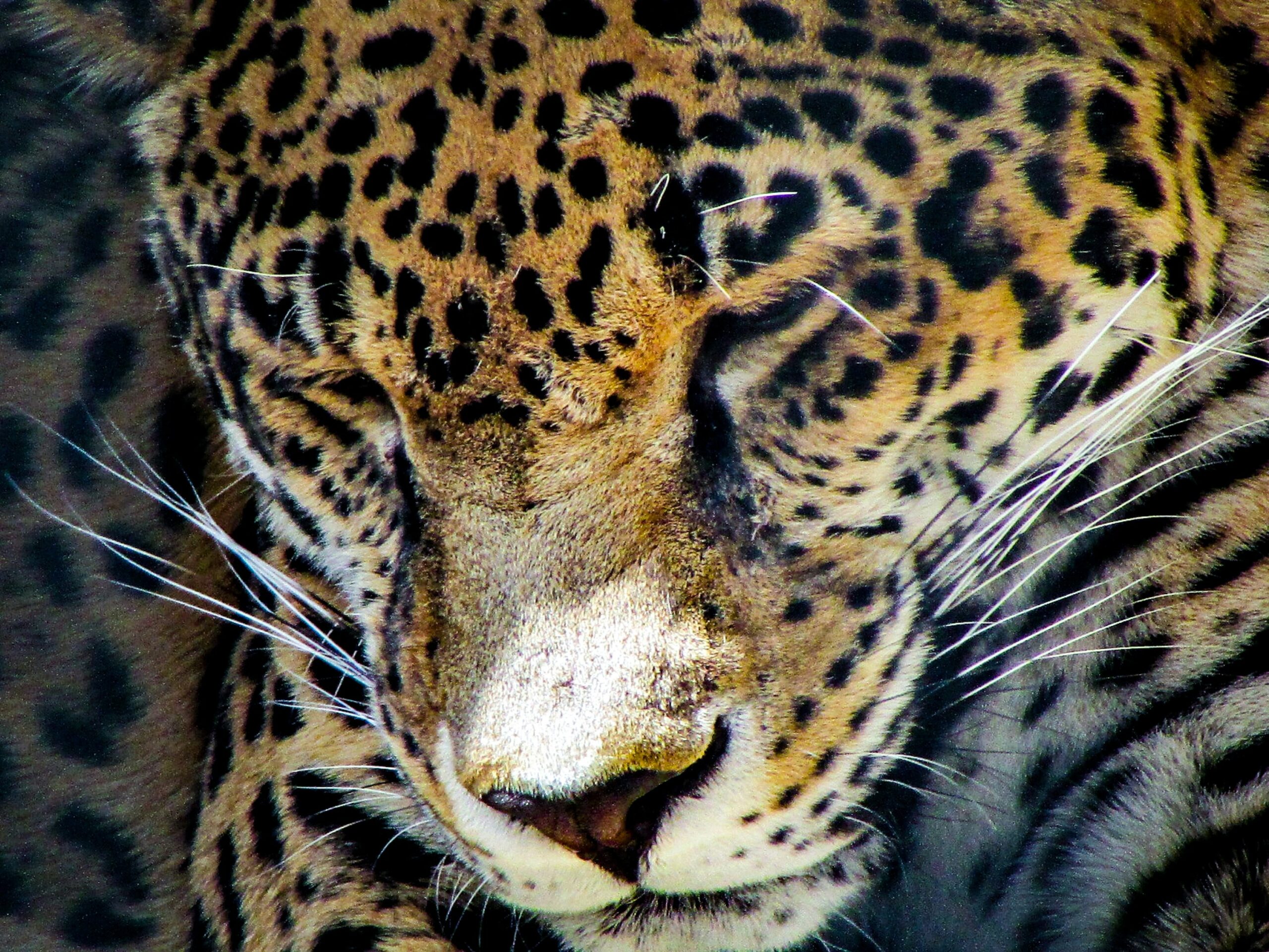 Hello World Featured Image
